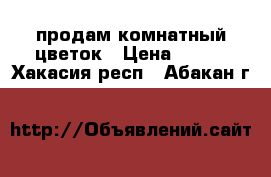 продам комнатный цветок › Цена ­ 700 - Хакасия респ., Абакан г.  »    